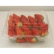 Blister Pack pour fraises ou autres fruits (HL-110)